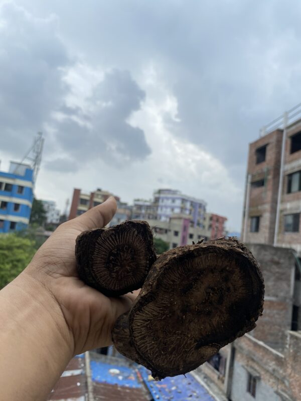 ১ কেজী চুই - Image 2