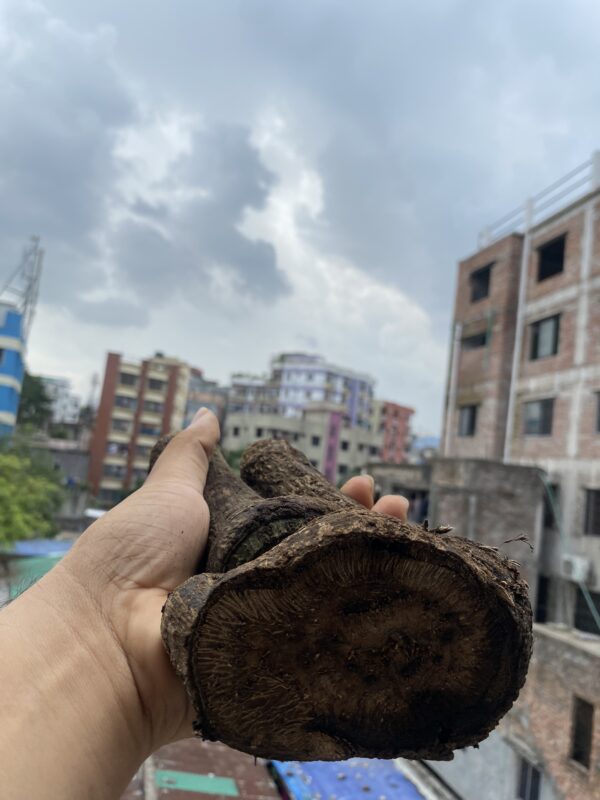 ১ কেজী চুই - Image 5