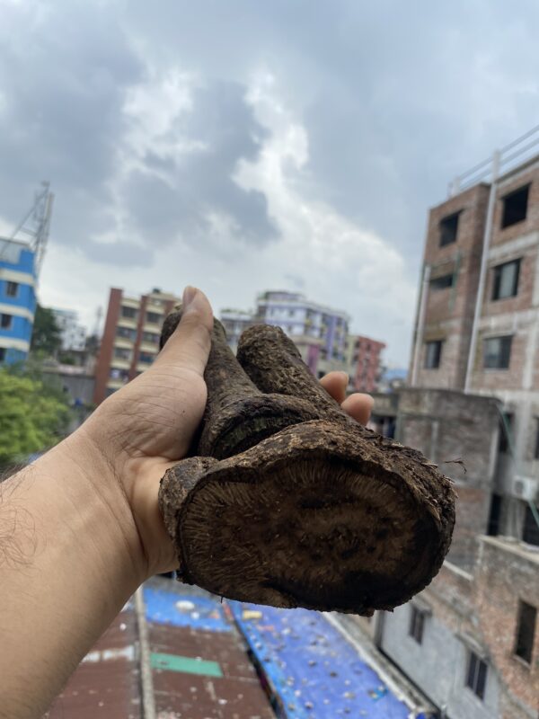১ কেজী চুই - Image 4